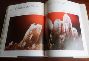 imagem_6
