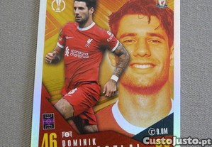 imagem_5