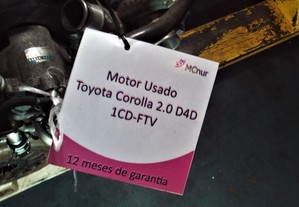 imagem_7
