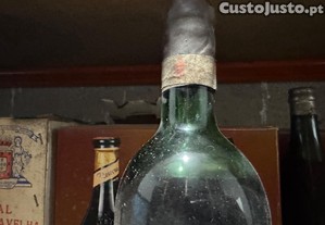 imagem_3