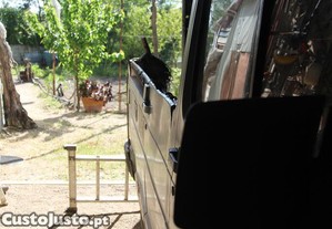 imagem_35