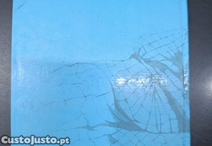 imagem_8