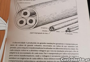 imagem_6