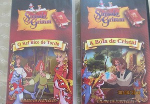 imagem_6