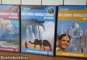 imagem_14