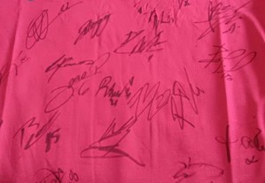 t-shirt autografada pelos jogadores da seleção de futebol