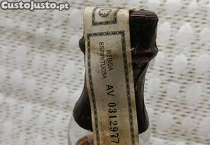 imagem_6