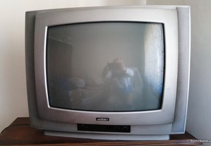 Televisor de ecrã 50cm Mitsai