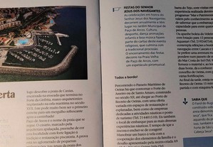 imagem_8