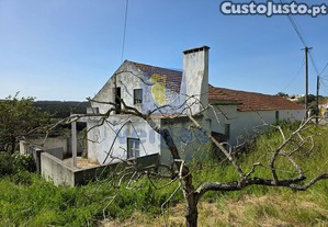 imagem_21