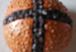 imagem_7
