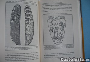 imagem_4