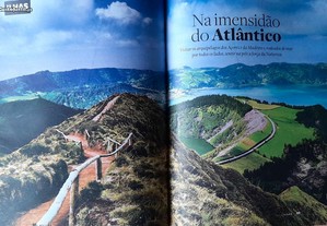 imagem_8