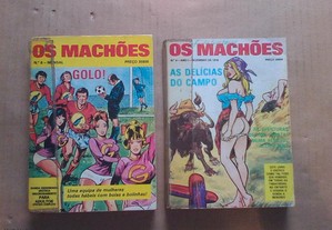 imagem_4