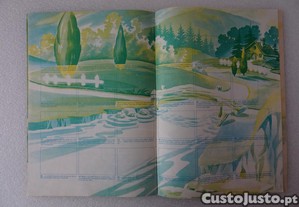 imagem_5