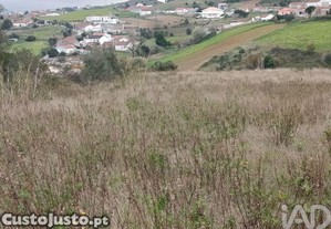 imagem_16