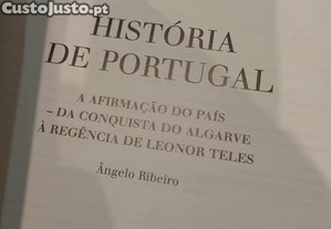 imagem_3