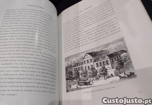 imagem_11