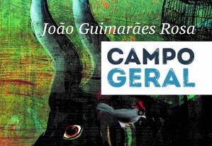 Campo Geral de João João Guimarães