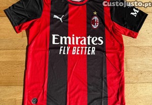 imagem_1