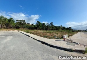 imagem_3