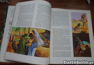 imagem_4