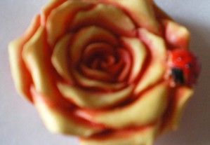 imagem_5