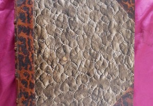 imagem_3