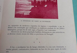 imagem_5
