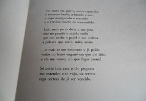 imagem_13