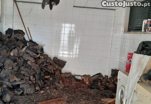 imagem_21
