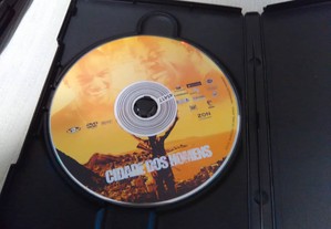 imagem_8