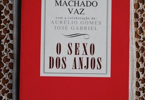 O Sexo dos Anjos de Júlio Machado Vaz