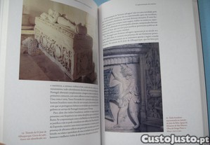 imagem_5