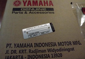 Chapa identificadora de quadro Yamaha DTR 125