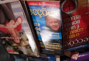 imagem_2