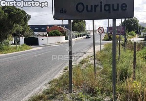 imagem_12