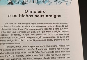 imagem_2