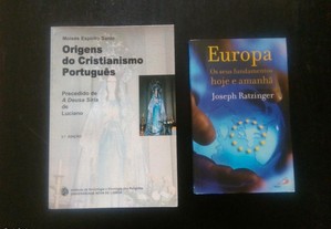 imagem_8