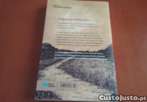 imagem_8