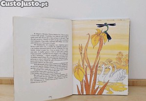 imagem_5