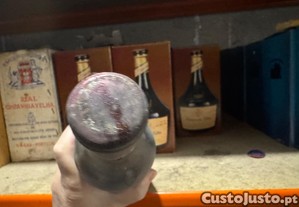 imagem_4