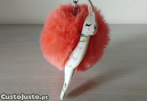 imagem_6