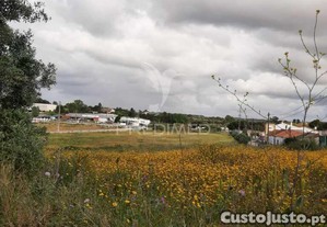 imagem_13