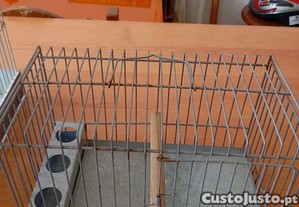 imagem_5