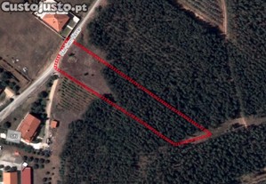 Terreno Agrícola em Rio Maior
