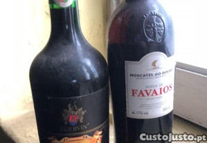 imagem_5