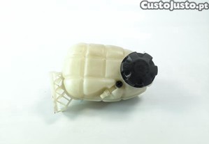 Vaso Expansao / Radiador Bmw 1 (F20)