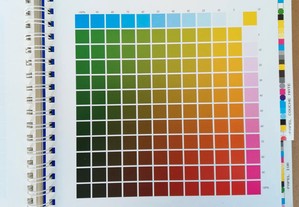imagem_7