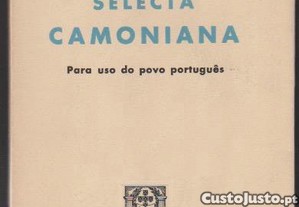 imagem_1
